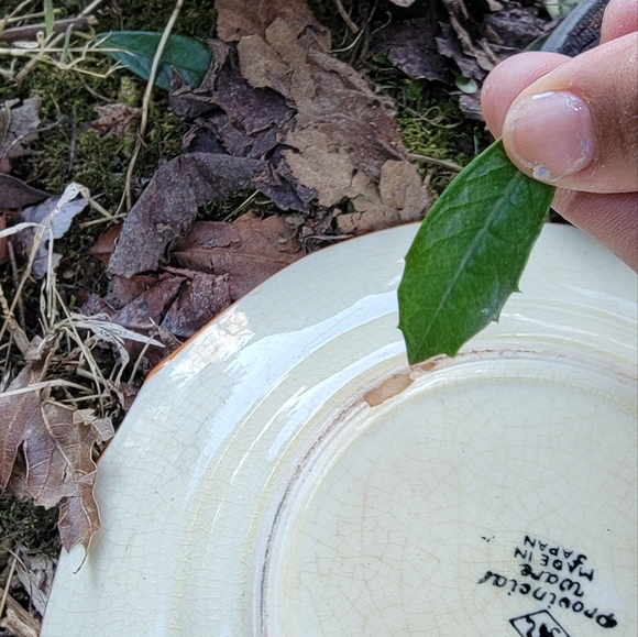 VINTAGE Floral hand painted saucer plate and mini pitcher made in Japan. - Picture 3 of 4
